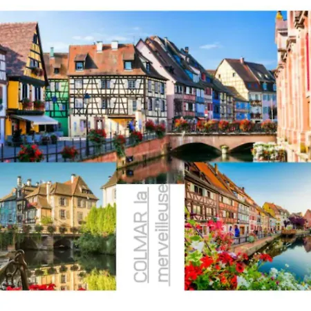 Cosis Colmar - 2 Chambres - 4 Pers - Duplex - Parking - Wifi Exterior photo