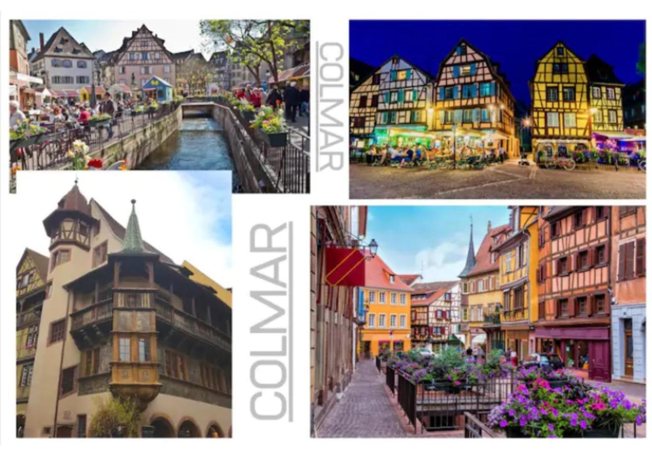 Cosis Appt à - 4 Personnes- Free Parking * Colmar